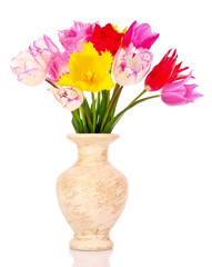 Tulips in vase isolated on white