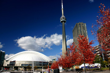 CN Tower and Roger Centre During Fall - obrazy, fototapety, plakaty