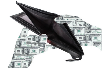Empty wallet