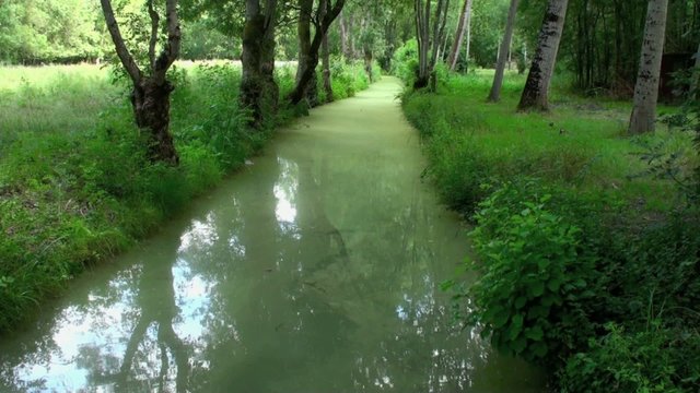 Paysage du marais poitevin (France)