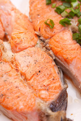 plate with tasty salmon garnished with vegetables