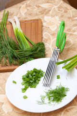 culinary scissors for chopping greens