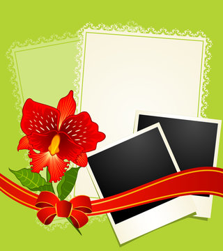 photo frames with flowers