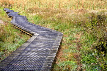 Boardwalk