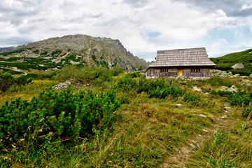 Rustic Cabin
