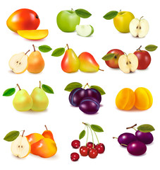 Group with different sorts of fruit. Vector. - obrazy, fototapety, plakaty