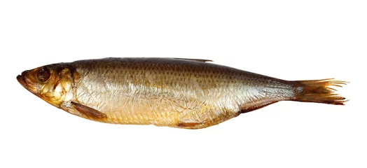 Aluminium Prints Fish golden smoked  herring fish
