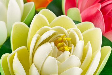 Obraz premium fleurs artificielles nénuphars