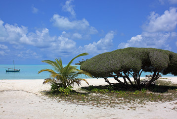 plage de rêve des îles maldives