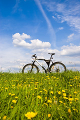 Fototapeta premium bike