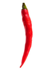 Red hot chili pepper