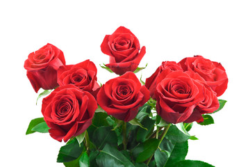 Roses bouquet