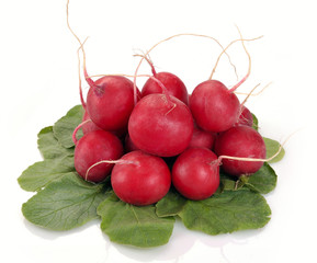 Bunch of a garden radish with leaves
