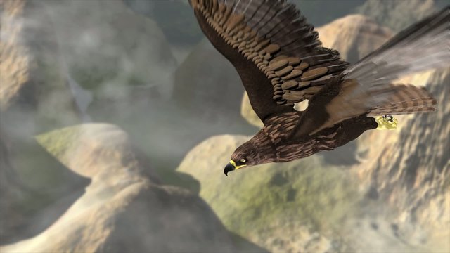 flying eagle with landscape