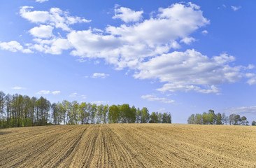 Obraz premium Spring landscape