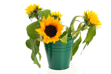 Obraz premium Bouquet sunflowers in green bucket