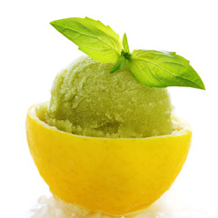 lemon- basil sorbet in cups of lemon on white isolated backgroun