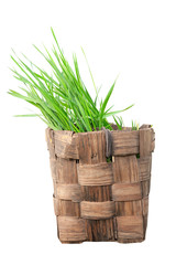 Isolated old basket with grass