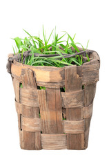 Isolated old basket with green grass