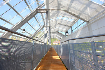 Glasshouse with glass roofing, wooden path and railing