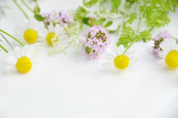 herbal flowers