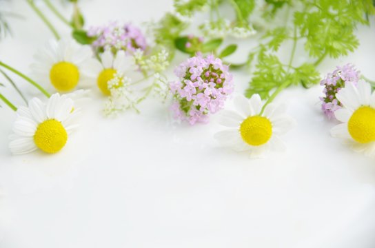 herbal flowers