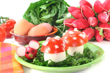 vegetarische kalte Platte