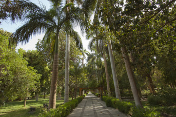 Botanical gardens at Aswan in Egypt