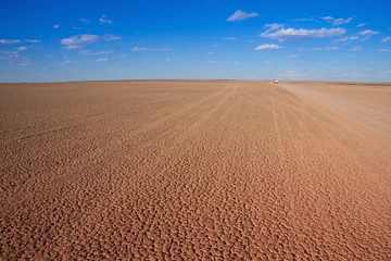 Fotobehang desert dry pan © lienkie