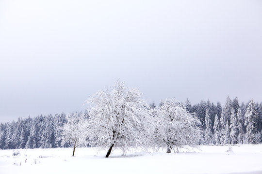 fagnes