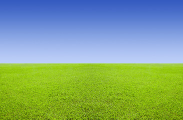 Plakat Zielona łąka