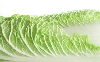 cabbage