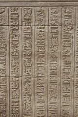 Hieroglyphic carvings on an Egyptian temple wall