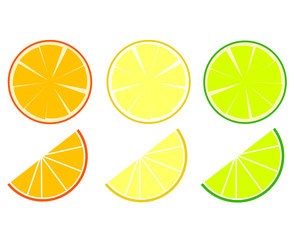 fruit exotic vector illustration