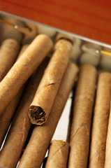 Cigars in box