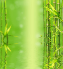 Naklejka premium Bamboo reflected on water surface