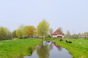 Dutch landscape with farm house