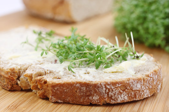 healthy bread with cress