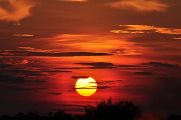 Fotobehang African Sunset © HeresTwoPhotography