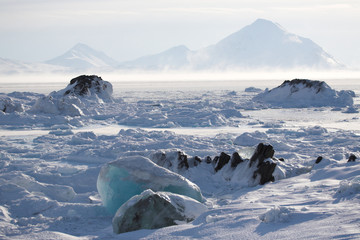 Arctic frozen fjord