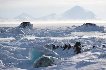 Foto op Aluminium Arctische bevroren fjord © Incredible Arctic