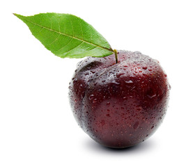 Plums on a white background