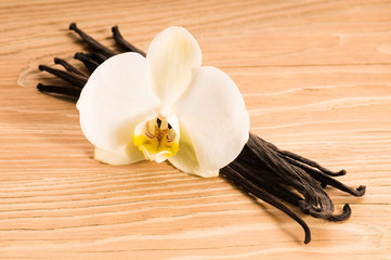 Vanilla pods and flower