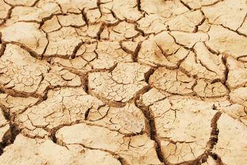 dried land background