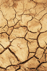 Dried land with animal footspet