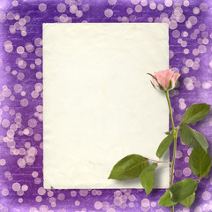 Card for invitation or congratulation with beautiful rose on the