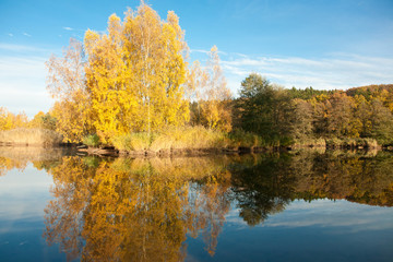 beautiful autumn landscape