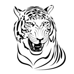 Snarling tiger's head illustration in black lines