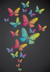 Butterflies drawn in chalk