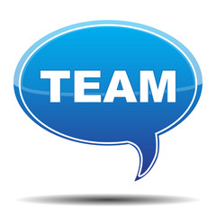 TEAM ICON